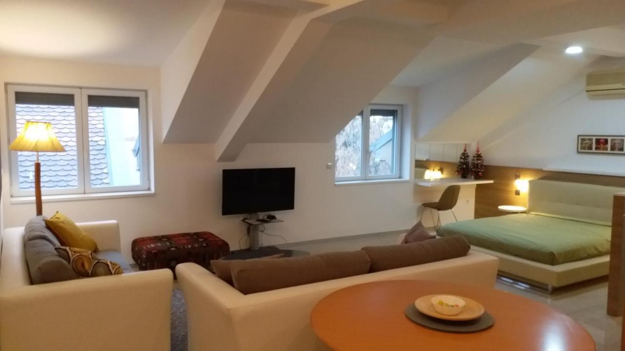 Apartmán Centar Lux Vrsac Exteriér fotografie